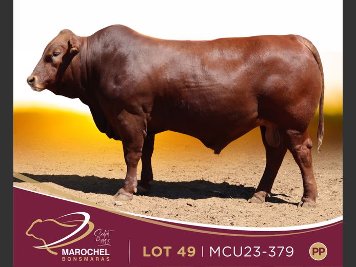 MCU 230379