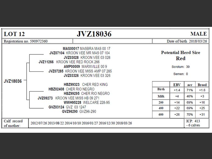 JVZ18-36