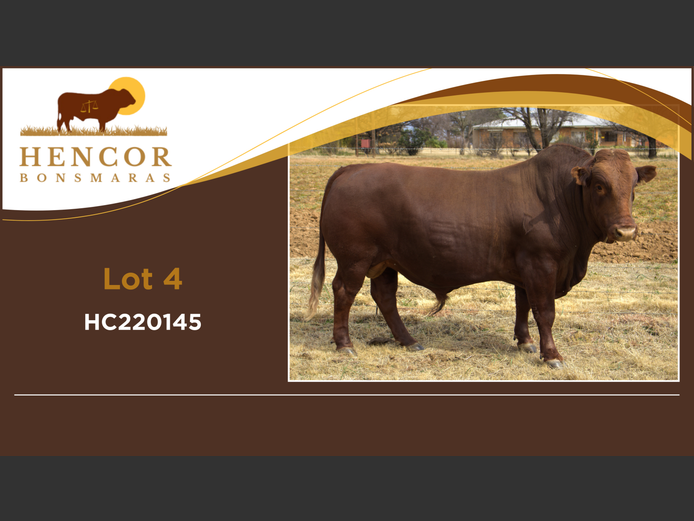 HC  220145 | HENCOR BOERDERY