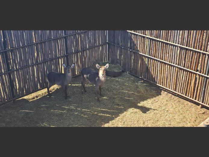 WATERBOK | HANLEY