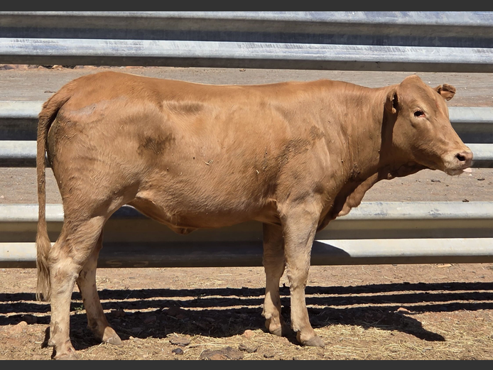 DKH 230044 | DONKERHOEK BOERDERY TRUST