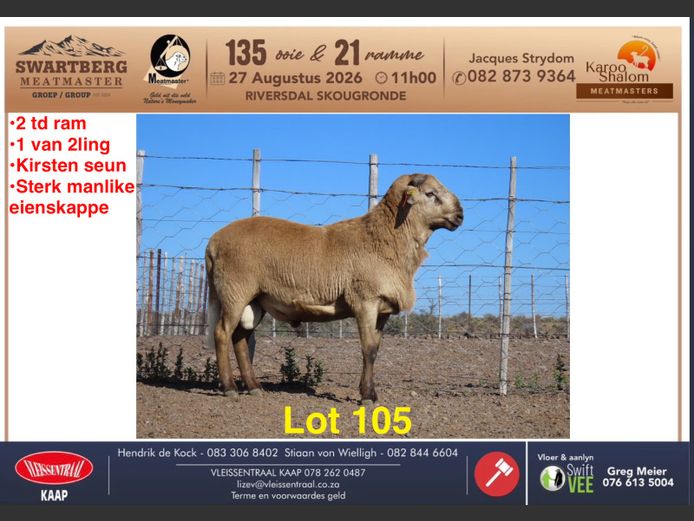 D163 | KAROO SHALOM