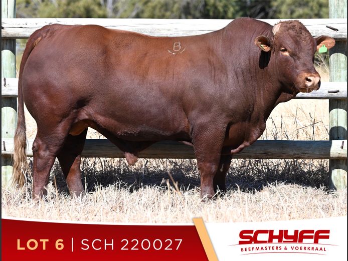 SCH 220027