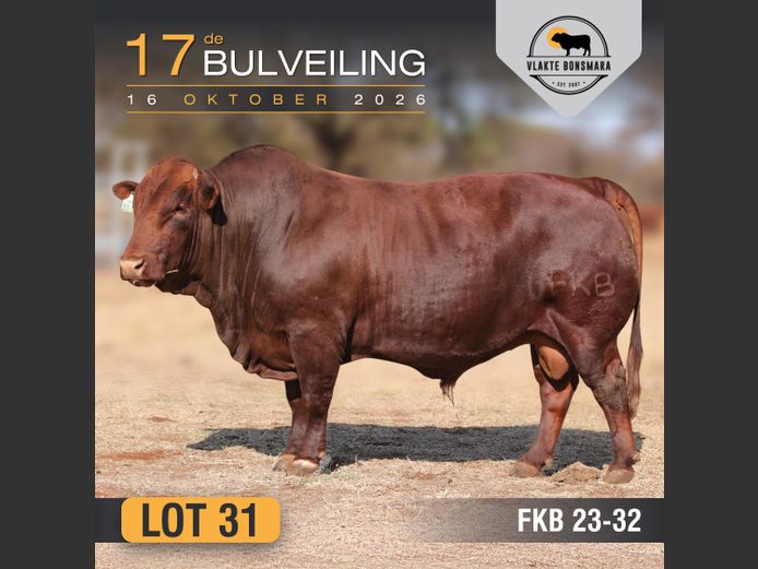 FKB230032 | FRITS KROON BOERDERY