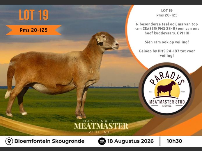 PMS 20 0125 | PARADYS MEATMASTER STOET