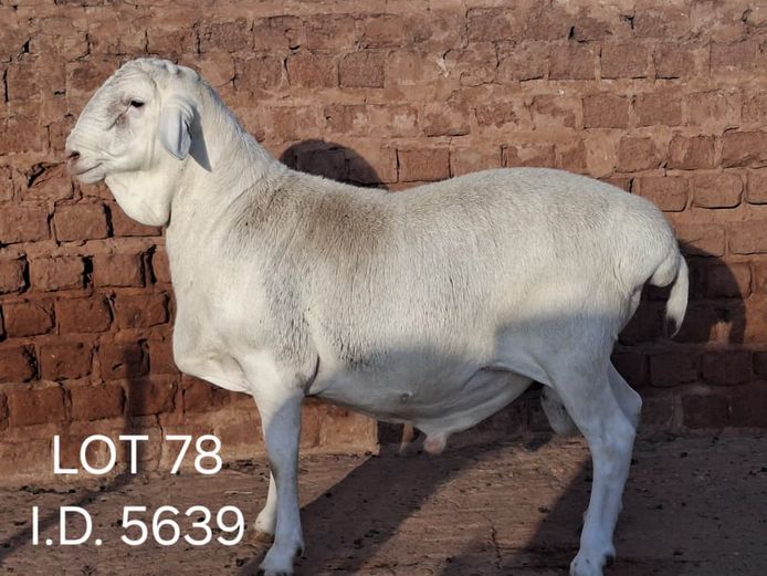 5639 | FRANCOIS VAN RENSBURG