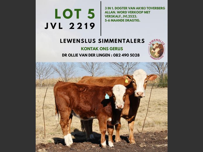 JVL2219 | DR JSH VAN DER LINGEN