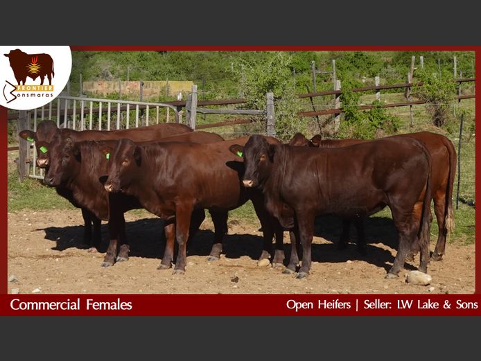 Commercial Animals | L W Lake & Son