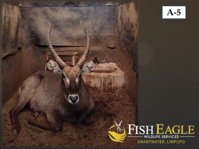 WATERBOK