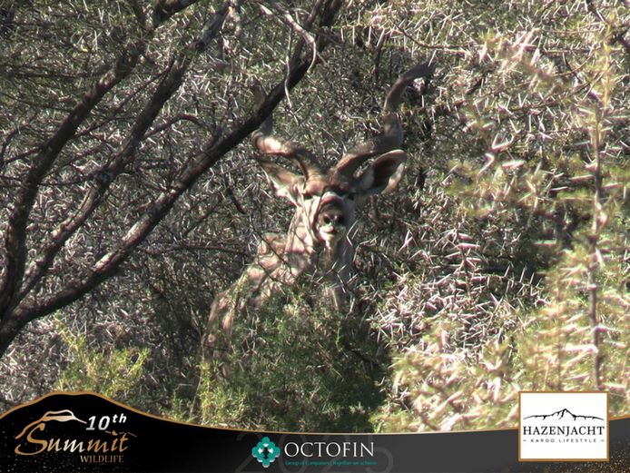 Hunting Package (Self-catering)