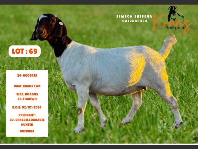 24-0006RSS | MR SHIPENA