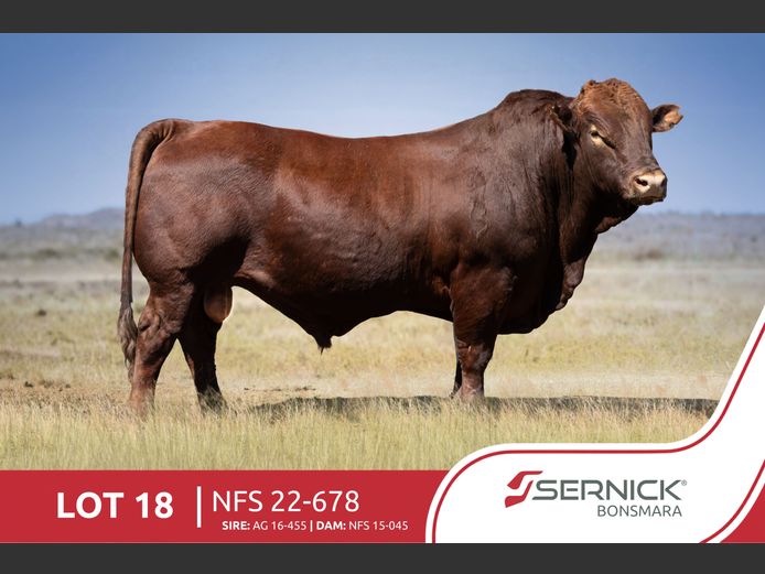 NFS 220678 | SERNICK BONSMARA STOET