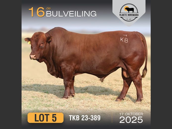 TKB 230389 | TIAN KRUGER BOERDERY PTY LTD