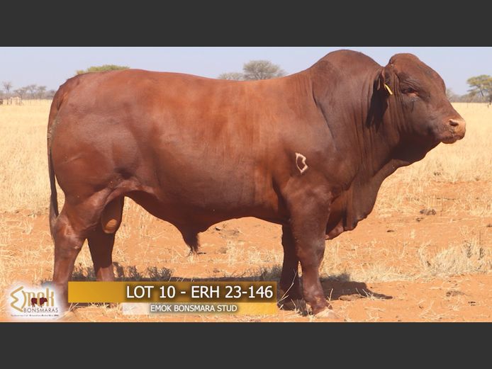 ERH230146 |  EMOK BONSMARASTOET