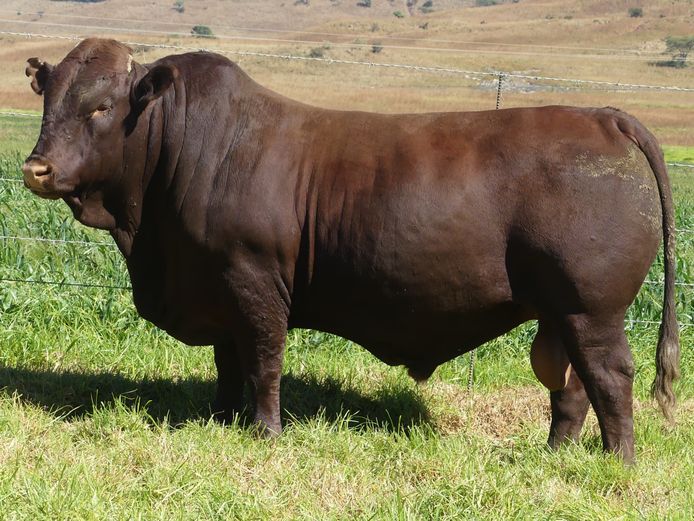 LAR 230290 | UP GEORGE FARMS CC