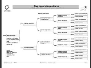genetic_data