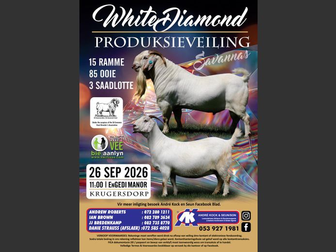 WHITE DIAMOND SAVANNAS PRODUKSIEVEILING