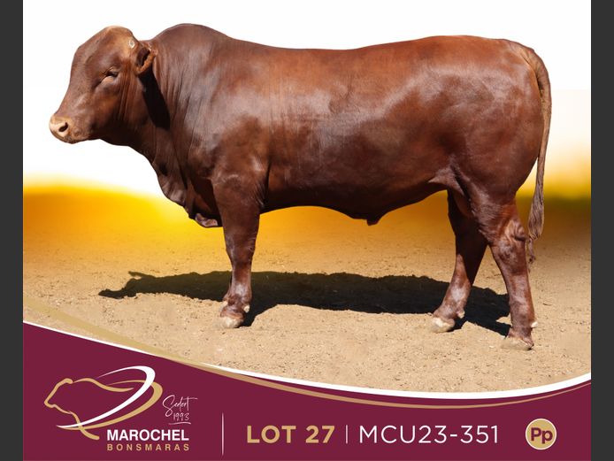 MCU 230351