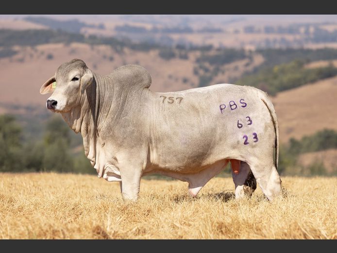 PBS 23-63 | Power Brahman