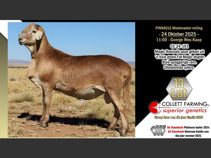 CC  240191 | COLLETT FARMING CC