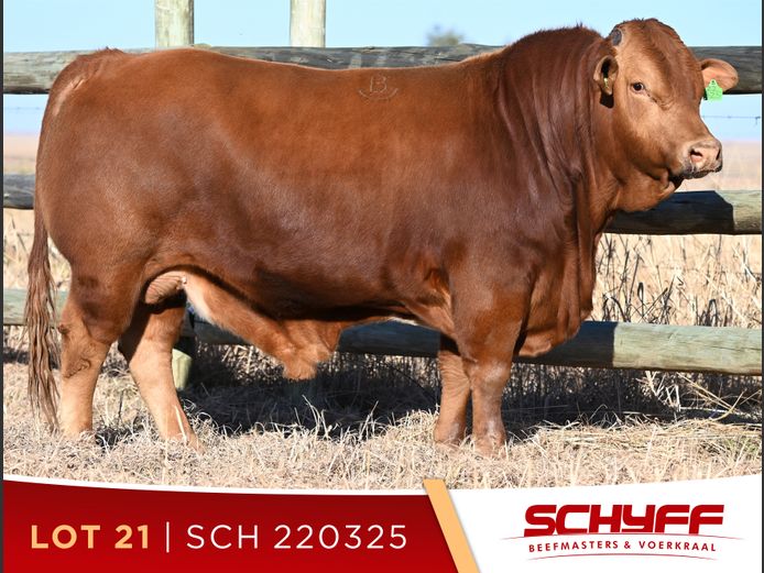 SCH 220325