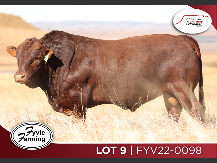 FYV22-0098