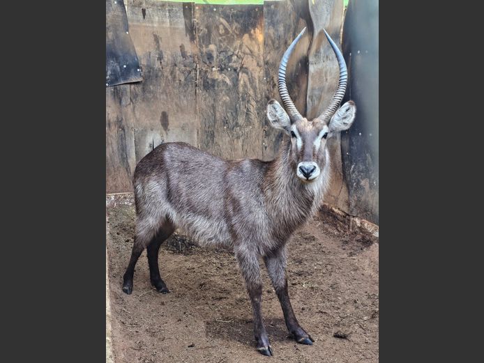 WATERBOK | DJ GROVE
