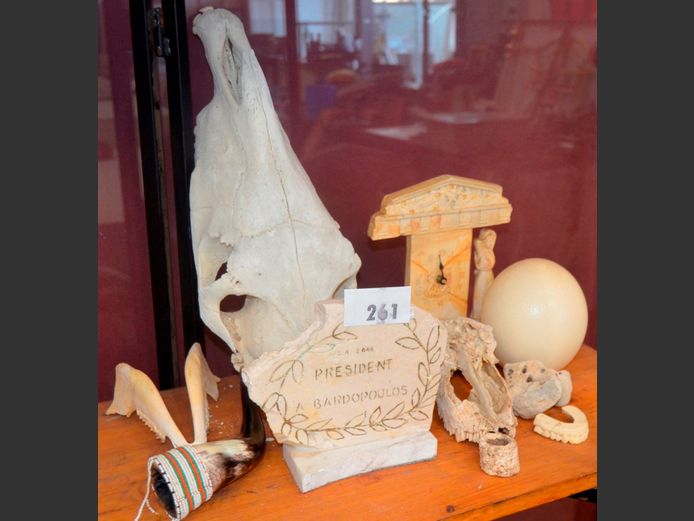 OSTRICH EGG, SKULL ORNAMENTS. etc