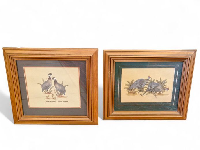 Guinea Fowl Bird Pictures with Wood Frames