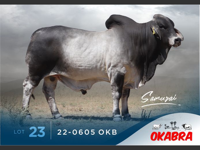 22-0605 OKB