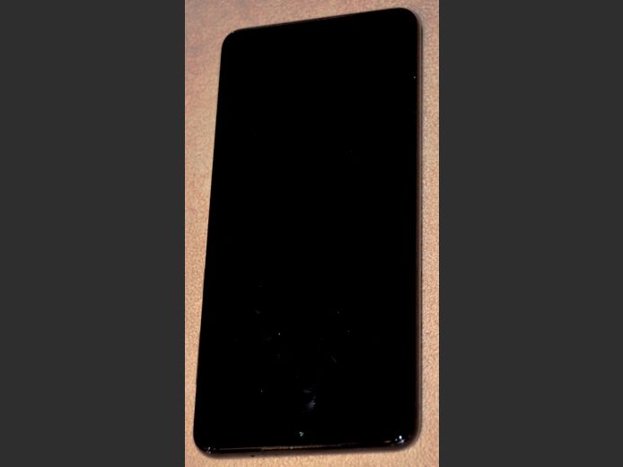 SAMSUNG S22+ [Untested, no charger, damaged]	