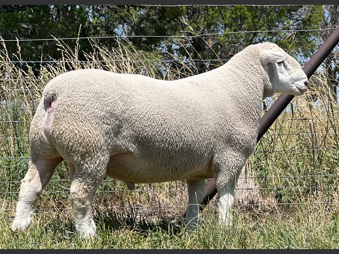 JB240027 | J.A BARNARD