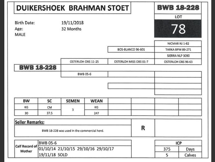 BWB 18-228