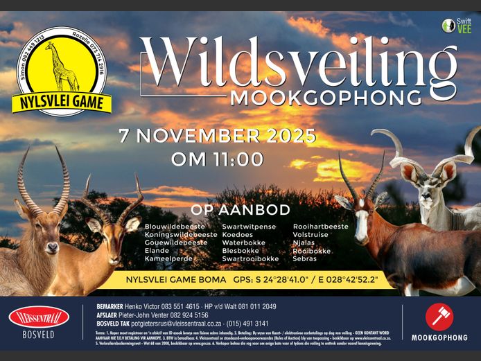 NYLSVLEI GAME TRADERS WILDSVEILING