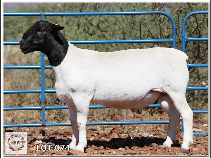 1643 24 0457 | C.C. VAN DEVENTER