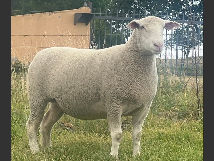 JB240034 | J.A BARNARD