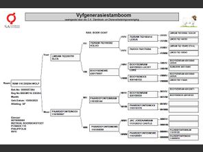 genetic_data