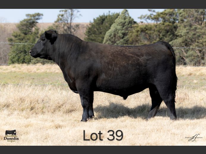 KCM 230059 | TABLE HILL FARMING PTY LTD