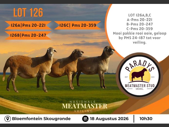 PMS 20 0221 | PARADYS MEATMASTER STOET