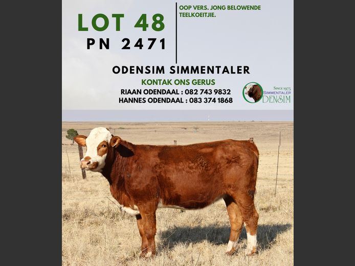 PN2471 | AG ODENDAAL