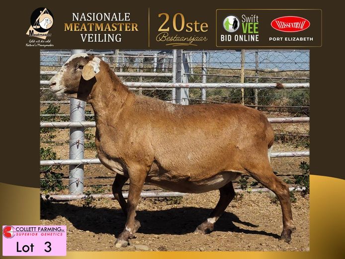 CC 22 0362  | COLLETT FARMING CC