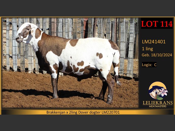 LM241401 | LELIEKRANS MEATMASTERS