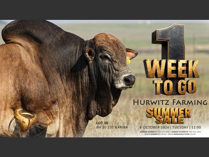 HURWITZ FARMING SUMMER SALE