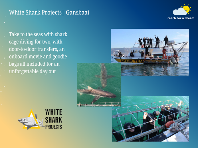 White Shark Projects