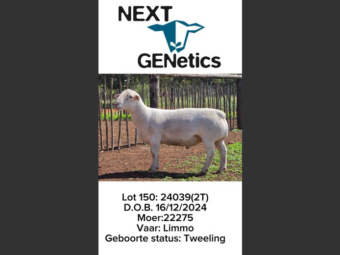 24039 | NEXT GENETICS
