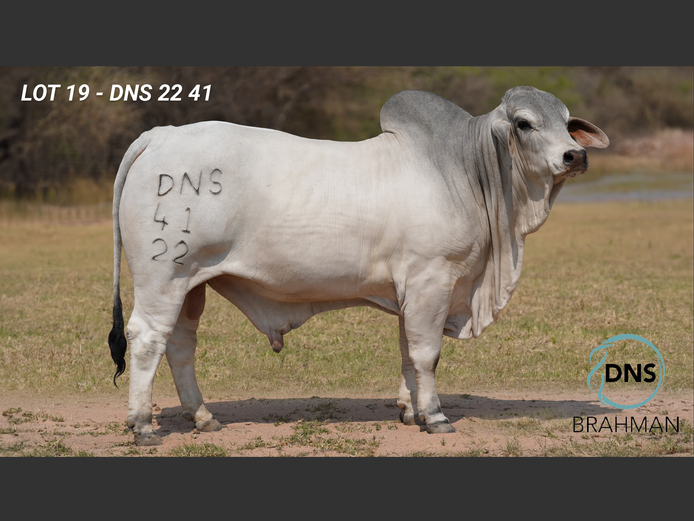 DNS2241 | JES-C BOERDERY (PTY) LTD