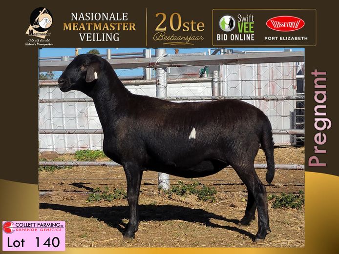 M 25 106 | La Rochelle Genetics