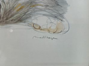 images