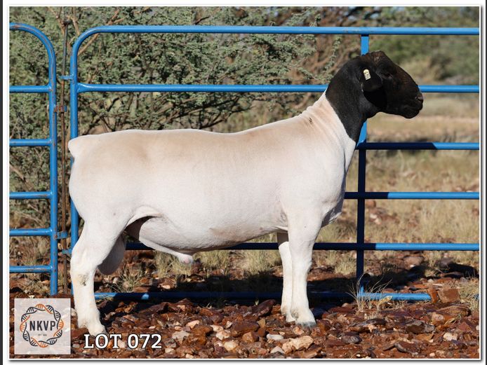 2052 24 0355 | LOUIS VAN RENSBURG, H/A LEEUPUT TRUST