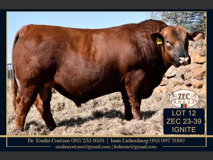 ZEC 230039 | Z.E. COETZEE